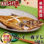 Yahoo! Yahoo!ショッピング(ヤフー ショッピング)[ 水揚次第発送 ]  エテガレイ一夜干し 5〜6尾入り （約28cm） 宗八がれい 白カレイ そうはちがれい ソウハチガレイ 塩干し 一夜干し etekareihimono