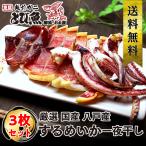  сушеный кальмар .. соленое и высушенное в течение ночи сушеный кальмар (. соль ) 3 листов ввод подлинный .. Aomori префектура Hachinohe производство сушеный кальмар .. тихоокеанский кальмар Япония море название производство тщательно отобранный материалы Tang .. небо .... предмет еда бесплатная доставка 