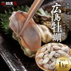 広島県産 牡蠣 特大サイズ 1kg (30粒前後) かき 加熱用 国産 カキ 貝 冷凍 広島牡蠣 海鮮 人気 厳選素材 送料無料 kak2310-1kg