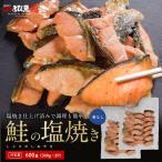 【美味しい塩焼き仕上げ】【骨なし】鮭の塩焼き 600g (300g×2パック) 1切れあたり約15g 40切れ入り 鮭 しゃけ 塩焼き 国産鮭 自然解凍 送料無料 shaks2411