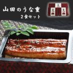 ショッピングうなぎ 父の日 父の日 ギフト 山田のうな重（ 2食 入 ） 公式ストア