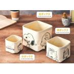 スヌーピー SNOOPY ピーナッツ 収納ボックス 3個セット ラブリーな  メンバー柄