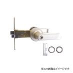 AGENT 大黒製作所 LS-1000 取替用レバーハンドル 1スピンドルタイプ
