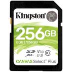 キングストン SDS2/256GB 256GB Canvas Select Pl
