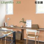 『のりなし国産壁紙』 リリカラXR クロス 石目調 準不燃 防かび 表面強度アップ Lilycolor XR クロス エックスアール2021-2023