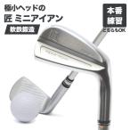 匠ミニアイアン 軟鉄鍛造 極小ミニヘッド 小ぶりヘッド 小型アイアン 練習器具 トレーニング 本番でも使える 42度 35インチ スチールシャフト NS製シャフト