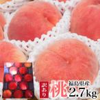 福島県産 訳あり 桃 2.7kg(8〜18玉) 福島県桑折町より農園直送 ご家庭用 送料無料