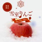  Yamagata префектура производство снег . яблоко солнечный ..5kg(16~23 шар ) бесплатная доставка 