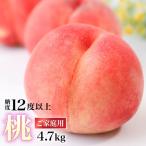  персик Fukushima префектура производство есть перевод свет сенсор персик 4.7kg(15~28 шар ) бесплатная доставка для бытового использования прямая поставка от производителя 