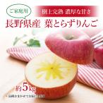  Nagano префектура производство лист ... яблоко . для бытового использования 5kg(12~20 шар )