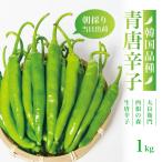 [2025 отчетный год в продаже бесплатная доставка * Okinawa отдаленный остров дополнение плата есть ] местного производства производство прямой запад корень. лес сырой синий красный острый перец 1kgl синий красный острый перец перец стручковый tougalasi.. прямая поставка от производителя Miyagi префектура угол рисовое поле 
