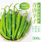 【2025年度 販売中 送料無料 *沖縄離