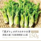 [2026 отчетный год 2 месяц последняя декада из последовательный отправка местного производства производство прямой дикоросы ] запад корень. лес треска. . подлинный dala150gl... . треска nome... . прямая поставка от производителя Miyagi префектура производство 