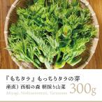 [2026 отчетный год 2 месяц последняя декада из последовательный отправка местного производства производство прямой дикоросы ] запад корень. лес треска. . моти треска . взяв дикоросы 300gl... . треска nome... . прямая поставка от производителя Miyagi префектура производство 