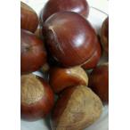  серебряный . сырой каштан 5kg