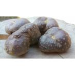  воздушный картофель ( космос клубень )