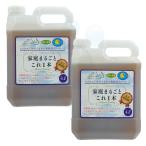 家庭まるごとこれ1本 4L×2本 環境浄化微生物 家庭用クリーナー