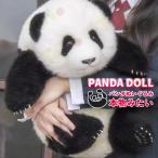 パンダぬいぐるみ 花花 萌蘭 年齢5か月 可愛いパンダ パンダ工場 PANDA FACTORY 抱き枕 部屋飾り 寝室 居間 家 オフィス 保育園 装飾 おもしろい キュート 萌え