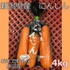  морковь Niigata префектура рыба болото производство 10 упаковка примерно 4kg (1 упаковка 3 шт. входит . примерно 400g)