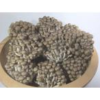  симедзи внутри Shinetsu регион АО 5kg