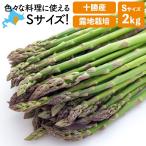 アスパラ アスパラガス 北海道十勝産 朝採り Sサイズ 2kg 送料無料(沖縄県を除く) 露地栽培