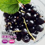冷凍カシス 500g(250g×2)  黒カシス ブラックカラント すぐり 無農薬 2021年産 北海道十勝産