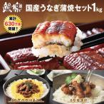 ショッピングお中元 送料無料 蒲焼セット 国産 合計1kg  鰻楽(まんらく) 大容量20パックセット ウナギ 鰻 お中元 きざみ 宮崎/鹿児島県産