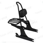 2006-2017 Harley Dyna Street Bob super fxd removed possibility sissy bar luggage rack .. sause pad parts recommendation 1