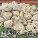  Исэ город .. futoshi 1.5 размер 10kg / двор гравий модный камень двор камень гравий кровать крупный вид gorota каштан камень Gris японский стиль цубо двор плитняк косметика гравий каменный материал 