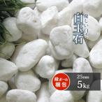 [ отметка 5 раз!10/5 ограничение!] рисовые клецки камень 25mm 5kg / двор гравий модный белый камень diy садоводство вид шар гравий шар камень сад веранда терраса садоводство косметика камень косметика гравий 