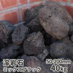 溶岩石 ミックスブラック 50-200mm 40kg
