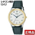 ネコポス CITIZEN シチズン Q＆Q FALCON ファルコン V280-804 メンズ 腕時計 時計 新品 チープシチズン チプシチ