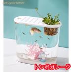 水槽 小型水槽 金魚鉢 アクアリウム水槽 卓上アクアリウム 飼育セット 熱帯魚 メダカ 金魚 透明 観葉植物を入れて メダカ水槽 観賞魚飼育