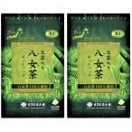 2袋 玉露入り八女茶ティーバッグ 5g 