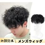  мужской парик человек шерсть 100% часть парик высокое качество природа незначительный шерсть удаление волос . белый ... больше шерсть разделение глаз нагружать . волосы деталь мужской парик верх парик короткий .