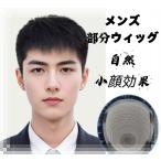  мужской парик человек шерсть 100% часть парик парик мужской природа средний и пожилой возраст медицинская помощь для незначительный шерсть удаление волос . больше шерсть разделение глаз нагружать . незначительный шерсть .. короткий .