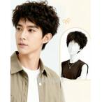  мужской парик полный парик все голова парик человек шерсть мужской парик длинный наматывать природа парик медицинская помощь для удаление волос . белый ... больше шерсть разделение глаз короткий .