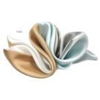  soft dore-p двусторонний chief бежевый время ограничено держатель есть сделано в Японии Yokohama шелк 100% бизнес свадьба party в подарок рекомендация pocket square 