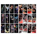 スクラッチアート 24枚セット 15.5*7cm ブックマーク スクラッチアート で美しいアート 面白い塗り絵 簡単 削るだけで スクラッチ