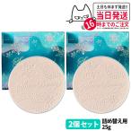 2024新発売 2個セット 資生堂 スノービューティー ブライトニング スキンケアパウダーA レフィル 詰め替え用 25g SHISEIDO 国内正規品