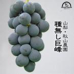 .. вид нет виноград 1kg 1~2. Yamanashi O-Bon .... предмет подарок бесплатная доставка фрукты .. было использовано почтовый заказ осень гора сельское хозяйство .