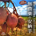  дешево . клубень дешево .. маленький 5kg есть перевод семена остров 3s.... нет пестициды меласса клубень Кагосима батат дождь .. сельское хозяйство .