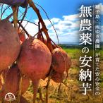 ショッピングさつまいも 安納芋 安納紅 5kg 種子島 2S〜L さつまいも 無農薬 オーガニック 蜜芋  鹿児島 ギフト プレゼント 安納べに 雨ゆき農園