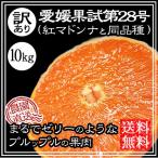 愛媛果試第28号 訳あり 10kg 紅まどんな 同品種 家庭用 送料無料 ノーワックス 農園直送 愛媛 八幡浜産 産地直送 マルナカ農園