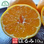 はるみ みかん ミカン 送料無料 10kg 和歌山産 農園直送 果物 ノーワックス 安心 安全 グリーンジャンクション
