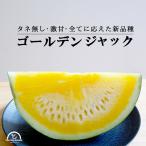  есть перевод хвост цветок . арбуз вид нет золотой Jack большой шар 3L 7kg Yamagata для бытового использования бесплатная доставка сельское хозяйство дом прямая поставка ... запад ..... сельское хозяйство .