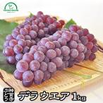 父の日 ぶどう デラウェア 1kg フルーツ お中元 ギフト 果物 プレゼント 御中元 ハウスデラウェア 送料無料 農園直送 ブドウ 贈り物 葡萄 神宮寺ぶどう エコ農法