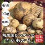  нет пестициды картофель .....10kg бесплатная доставка Wakayama 