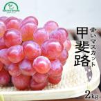  виноград ...2kg Yamanashi бесплатная доставка .. День почитания пожилых людей подарок ....... предмет .. праздник . фрукты фрукты .. было использовано почтовый заказ ...