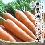  нет пестициды морковь морковь бесплатная доставка 3kg морковь сок нет пестициды человек Gin запад Япония Shizuoka производство прямая поставка от производителя сельское хозяйство дом прямая поставка 